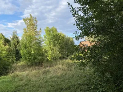 Grundstück kaufen in Wien – 2 246 m², € 989.000 – Bild 4 von 9