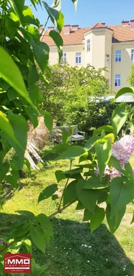 3-Zimmer-Wohnung kaufen in Krems an der Donau – 94 m², € 470.000 – Bild 19 von 23