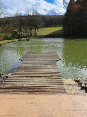 8-Zimmer-Haus kaufen in Baden – 150 m², € 900.000 – Bild 23 von 27
