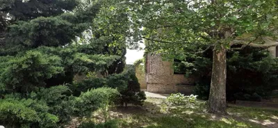 4-Zimmer-Haus kaufen in Neusiedl am See – 360 m², € 374.000 – Bild 4 von 44
