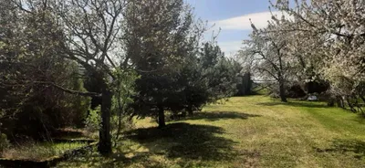 4-Zimmer-Haus kaufen in Neusiedl am See – 360 m², € 374.000 – Bild 43 von 44