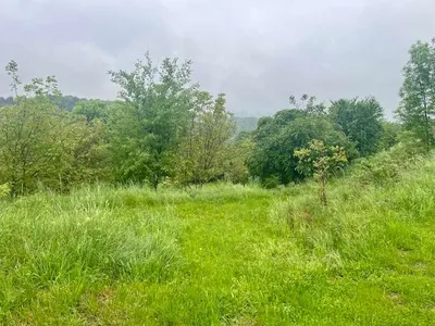 Grundstück kaufen in Deutschlandsberg – 4 445 m², € 210.000 – Bild 4 von 4