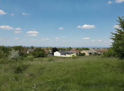 Grundstück kaufen in Neusiedl am See – 2 436 m², € 690.000 – Bild 2 von 3
