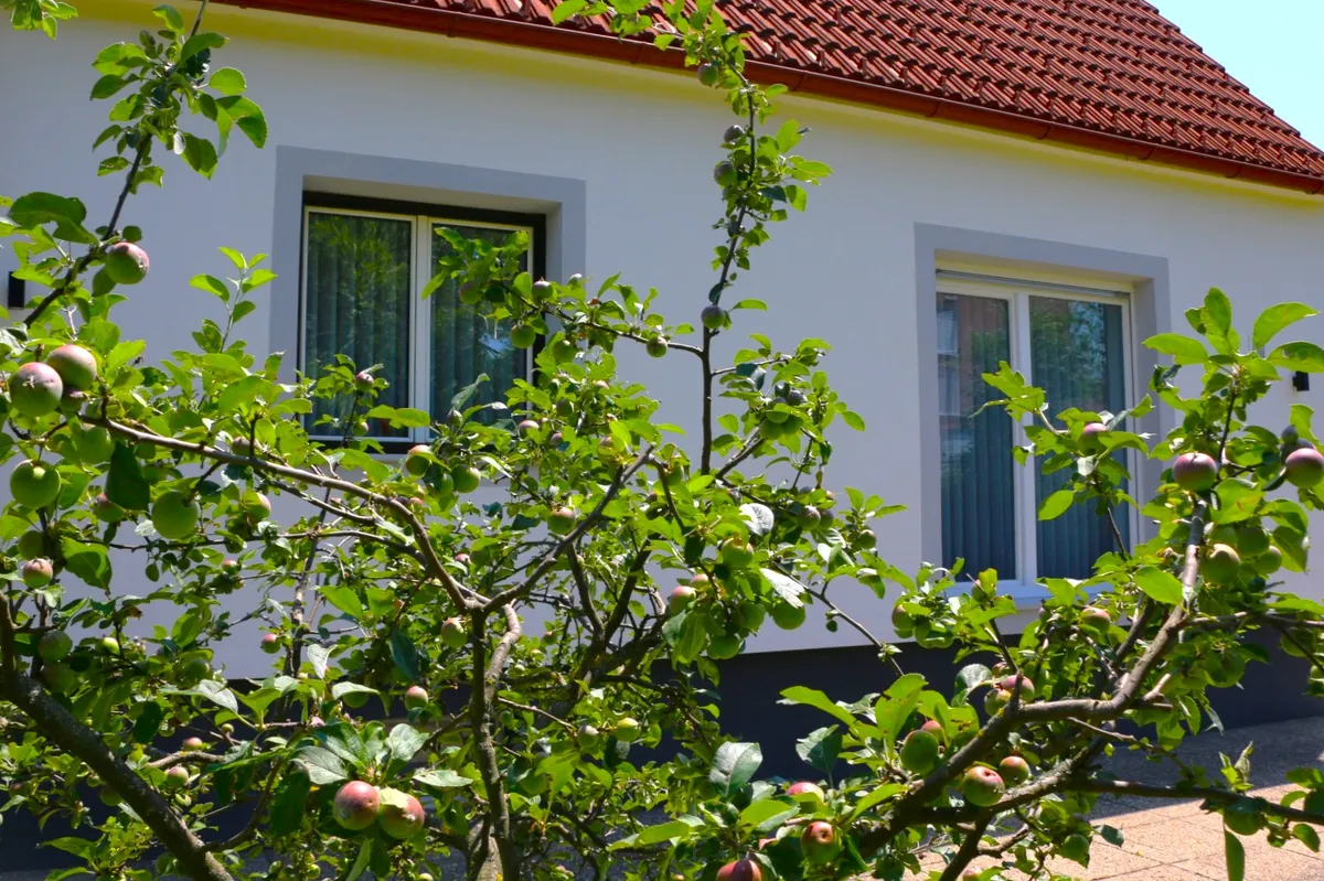 STILVOLLES WOHLFÜHLHAUS+ GARTEN+2 KÜCHEN+2 BÄDER+ LUFTWÄRME+ KELLER+ GARAGE+ NÄHE LKH II WEST - Ansicht 3