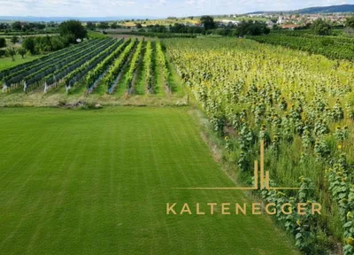 6-Zimmer-Haus kaufen in Neusiedl am See – 190 m², € 1.290.000 – Bild 2 von 13