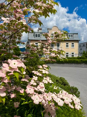 Gewerbeimmobilie mieten in Kitzbühel – 300 m², € 2.800