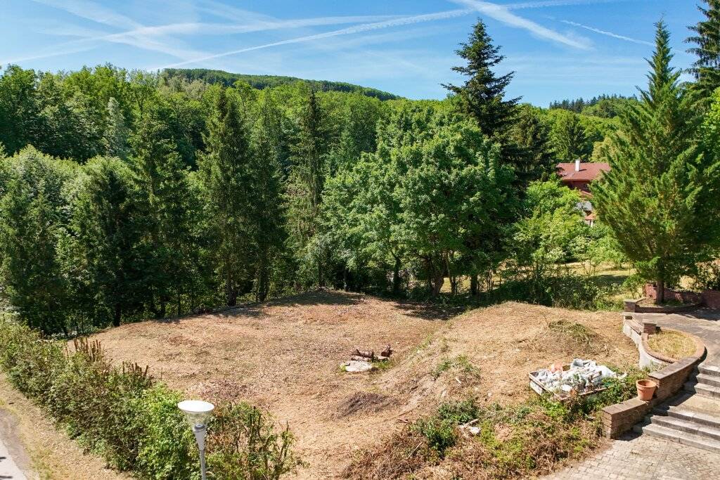 Südhang mit Althaus in bester Lage am Bartberg - Ansicht 3