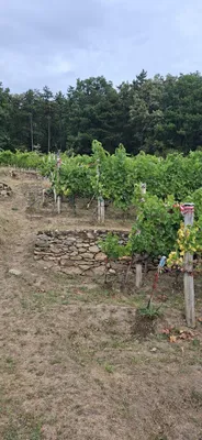 Grundstück kaufen in Krems Land – 2 300 m², € 57.500 – Bild 5 von 7