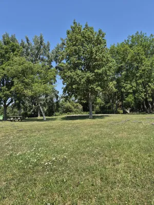 3-Zimmer-Wohnung mieten in Sankt Pölten Land – 65 m², € 799 – Bild 17 von 18