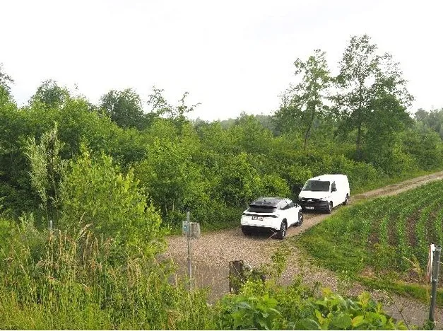 Landwirtschaftlicher Grund KG Neubau - Ansicht 3