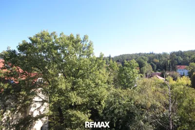 1-Zimmer-Wohnung mieten in Graz – 34 m², € 490 – Bild 11 von 14