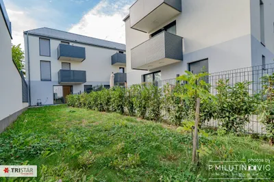 4-Zimmer-Haus kaufen in Mödling – 132 m², € 649.000 – Bild 3 von 41
