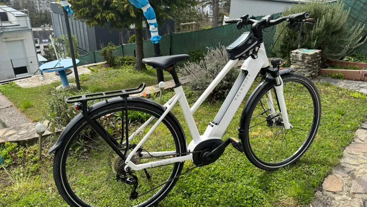 cube fahrrad 29 zoll e bike Reaction Hybrid SLT 750 Allroad E-Mountainbike Generalüberholt aus zweiter Hand E-Mountainbike – H&B Exclusive Menge:ca. 400g - 3-4 Stück Lucky bike hi-res stock Anlieferung_Kosten auf Anfrage