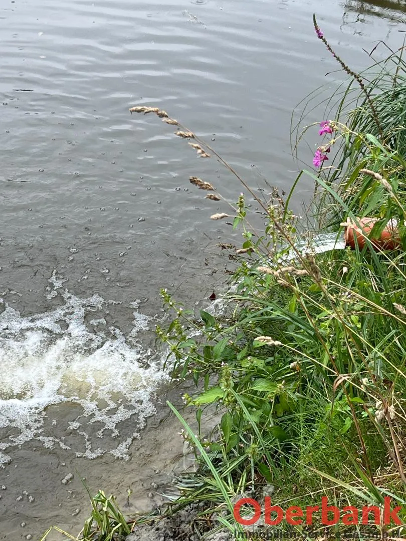 Fischteich 52x27 mit Fischerhütte - Ansicht 3