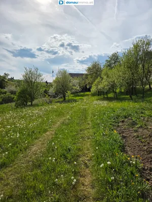 5-Zimmer-Haus kaufen in Zwettl – 160 m², € 279.000 – Bild 37 von 46