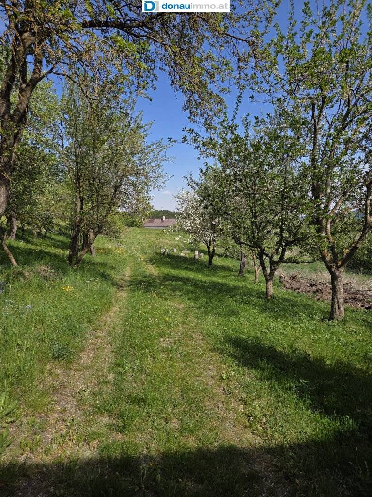 Ruhig gelegener Bauernhof mit Nebengebäuden und geschütztem Innenhof, Elsenreith