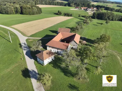 Immobilie kaufen in Schärding – 220 m² – Bild 3 von 4