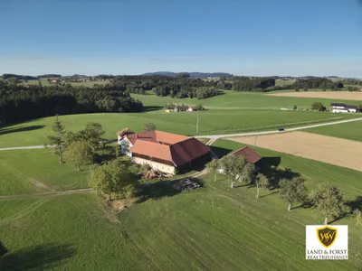Immobilie kaufen in Schärding – 220 m² – Bild 4 von 4