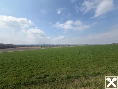 Grundstück kaufen in Schärding – 950 m² – Bild 4 von 4