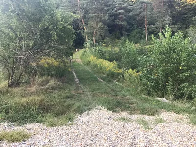 5-Zimmer-Haus mieten in Südoststeiermark – 310 m², € 2.000 – Bild 4 von 10