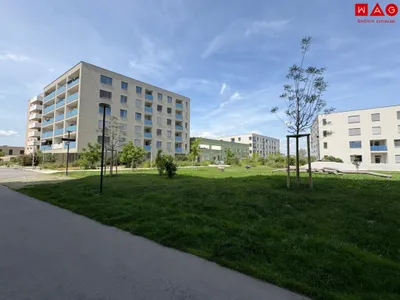 1-Zimmer-Wohnung mieten in Wien – 32,88 m², € 317