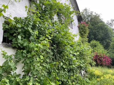 Wohnung kaufen in Rohrbach – 110 m², € 120.000 – Bild 2 von 21