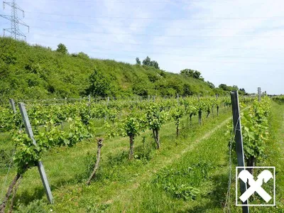 Grundstück kaufen in Tulln – 53 753 m², € 450.000 – Bild 3 von 14