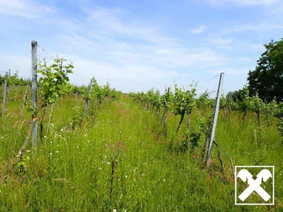 Grundstück kaufen in Tulln – 53 753 m², € 450.000 – Bild 11 von 14