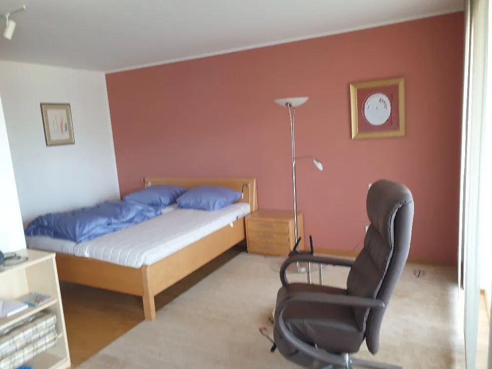 56 m² Wohnung mit sonnigen 17 m² Balkon in Uni- und Seenähe - Ansicht 2