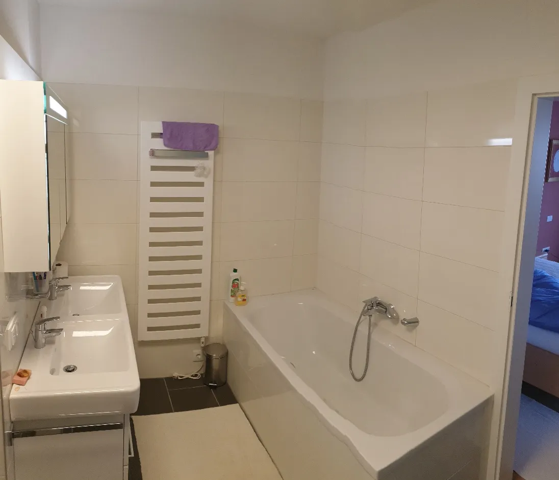 56 m² Wohnung mit sonnigen 17 m² Balkon in Uni- und Seenähe - Ansicht 3