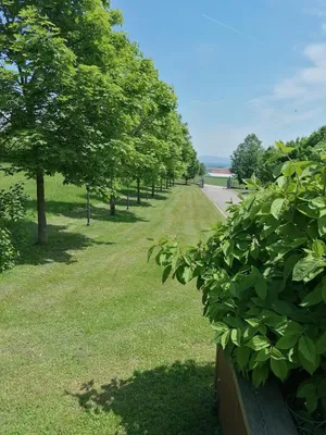 Haus kaufen in Eferding – 450 m², € 1.600.000 – Bild 12 von 31