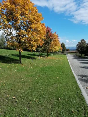 Haus kaufen in Eferding – 450 m², € 1.600.000 – Bild 2 von 31