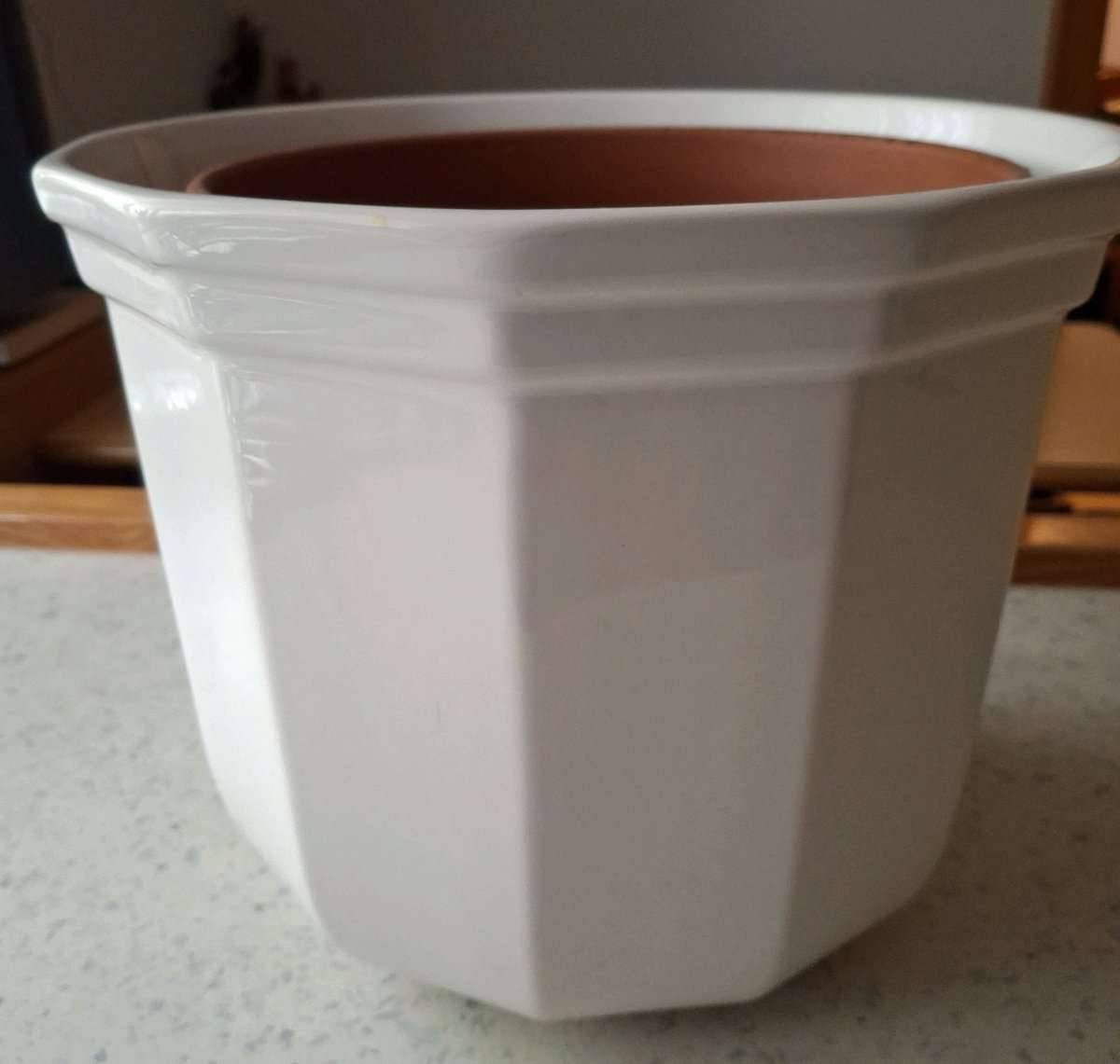 BERTOPF 12-eckig D: 30cm (mit Aloe Vera),  15,- (5163 Mattsee) - willhaben