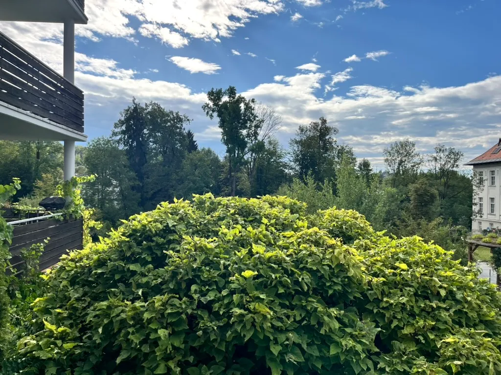 Wohnung – Geidorf - Ansicht 3