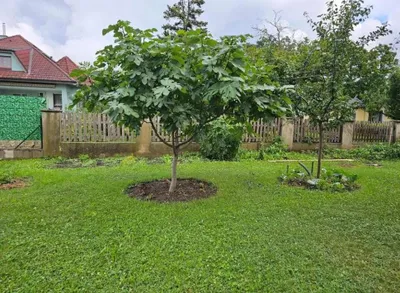 3-Zimmer-Wohnung mieten in Bruck an der Leitha – 65 m², € 706 – Bild 1 von 17