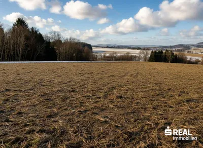 Haus kaufen in Grieskirchen – 150 m², € 155.000 – Bild 8 von 13