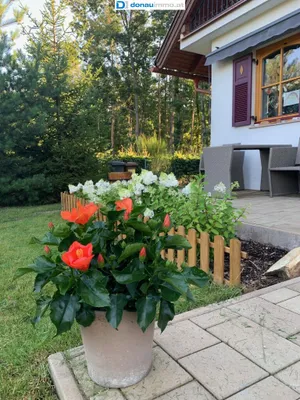 5-Zimmer-Haus kaufen in Oberpullendorf – 199 m², € 750.000 – Bild 11 von 48