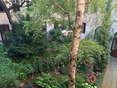 Immobilie mieten in Wien – 47 m², € 950 – Bild 19 von 19