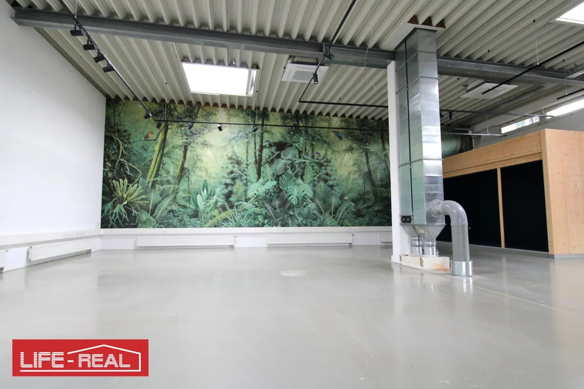 repräsentatives Büro im Hafenviertel für kreative Branchen, Teilflächen möglich - Ansicht 2