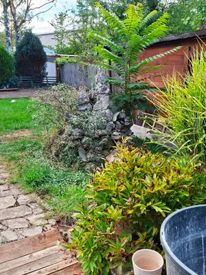 4-Zimmer-Haus mieten in Sankt Pölten Land – 100 m², € 980 – Bild 10 von 10