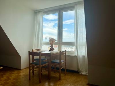 Einzimmerwohnung (August - Januar)