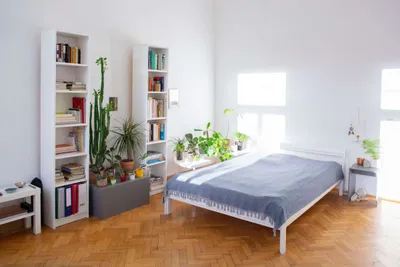Zwischenmiete 16.08. - 01.11.2026 - Wunderschöne helle zentral gelegene Wohnung an Einzelperson zu vermieten – Bild 2