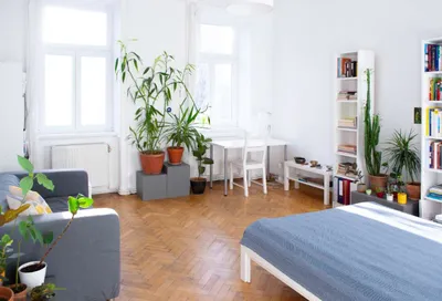 Zwischenmiete 16.08. - 01.11.2026 - Wunderschöne helle zentral gelegene Wohnung an Einzelperson zu vermieten