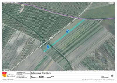 Grundstück kaufen in Neusiedl am See – 7 992 m², € 45.000 – Bild 12 von 13