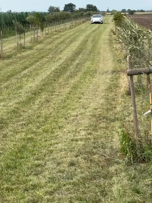 Grundstück kaufen in Neusiedl am See – 7 992 m², € 45.000 – Bild 7 von 13