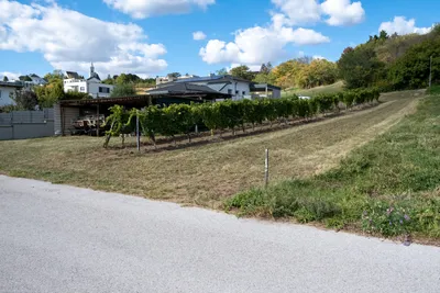 Grundstück kaufen in Eisenstadt – 666 m², € 273.000 – Bild 3 von 6