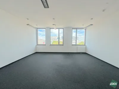 Gewerbeimmobilie mieten in Wien – 575 m², € 17 – Bild 6 von 10