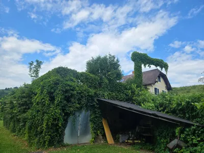 Haus kaufen in Leibnitz – 180 m², € 499.000 – Bild 3 von 18