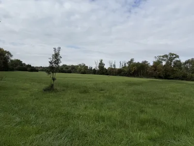 Grundstück kaufen in Bruck an der Leitha – 500 m², € 135.000 – Bild 5 von 17