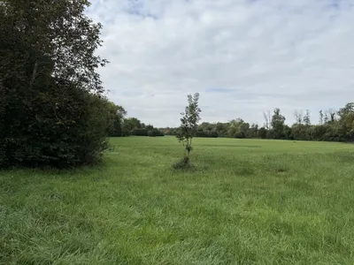Grundstück kaufen in Bruck an der Leitha – 500 m², € 135.000 – Bild 4 von 17